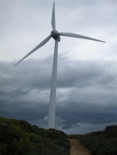 Wind turbine, Albany.